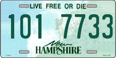 NH license plate 1017733