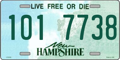 NH license plate 1017738