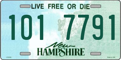 NH license plate 1017791