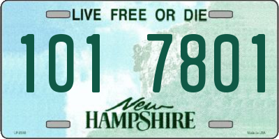 NH license plate 1017801