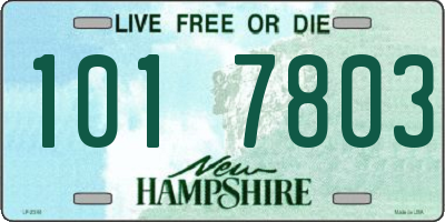 NH license plate 1017803