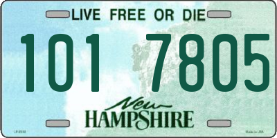 NH license plate 1017805