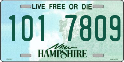 NH license plate 1017809