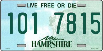 NH license plate 1017815