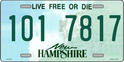 NH license plate 1017817