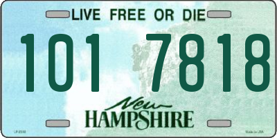 NH license plate 1017818