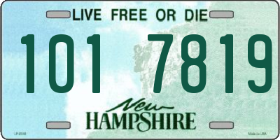 NH license plate 1017819