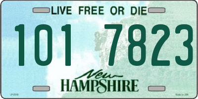 NH license plate 1017823