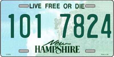 NH license plate 1017824