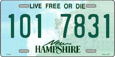 NH license plate 1017831