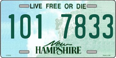 NH license plate 1017833