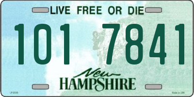 NH license plate 1017841