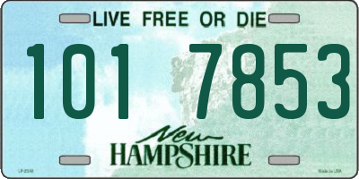 NH license plate 1017853