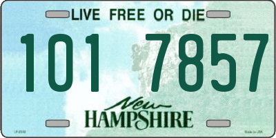 NH license plate 1017857