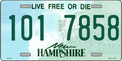 NH license plate 1017858