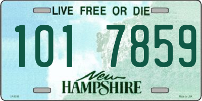 NH license plate 1017859