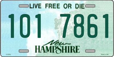 NH license plate 1017861