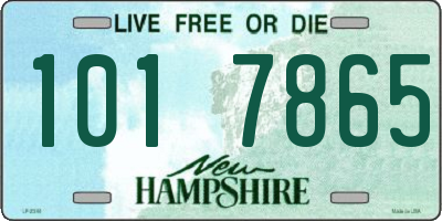 NH license plate 1017865