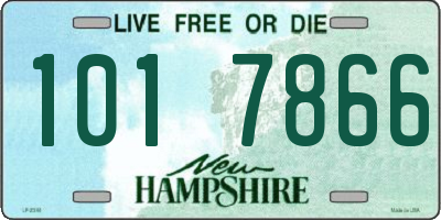 NH license plate 1017866