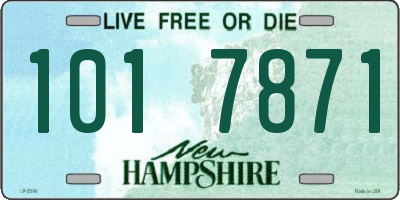 NH license plate 1017871