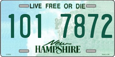 NH license plate 1017872