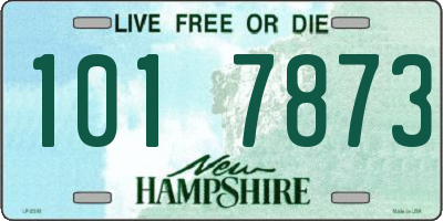 NH license plate 1017873