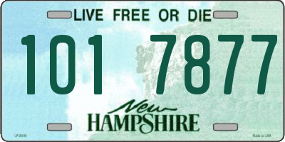 NH license plate 1017877