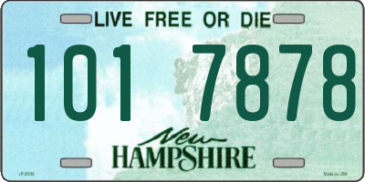 NH license plate 1017878