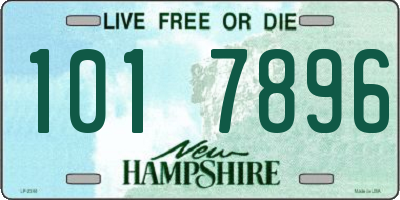 NH license plate 1017896