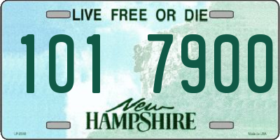 NH license plate 1017900