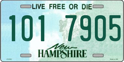 NH license plate 1017905