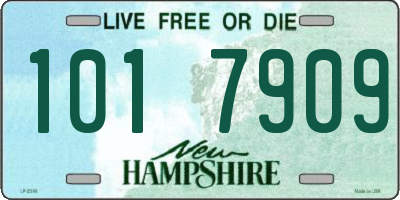 NH license plate 1017909