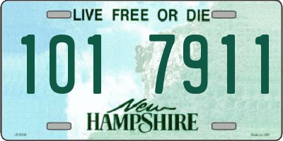 NH license plate 1017911