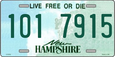 NH license plate 1017915