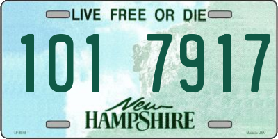 NH license plate 1017917