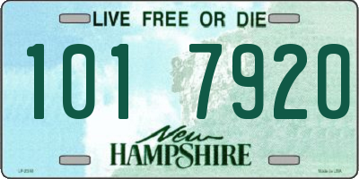 NH license plate 1017920