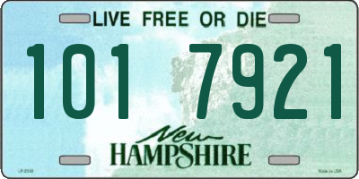 NH license plate 1017921
