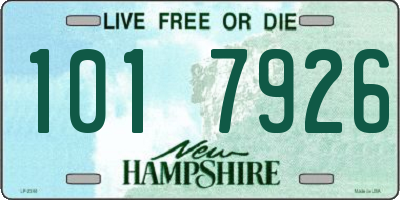 NH license plate 1017926