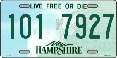 NH license plate 1017927