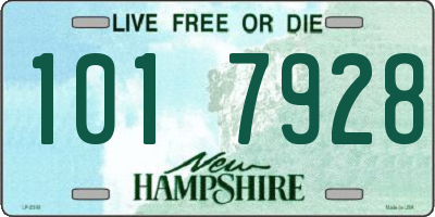 NH license plate 1017928