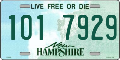 NH license plate 1017929
