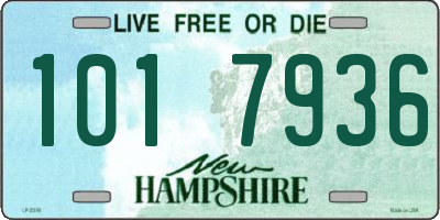 NH license plate 1017936