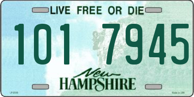 NH license plate 1017945