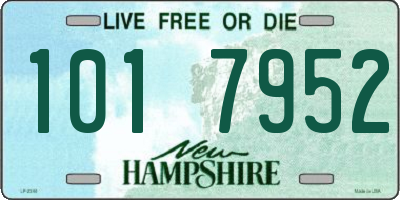 NH license plate 1017952