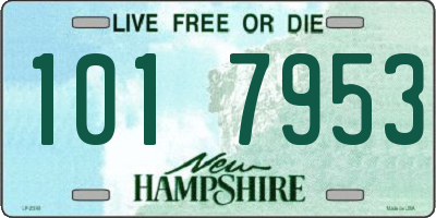NH license plate 1017953