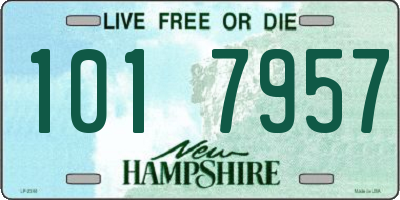 NH license plate 1017957