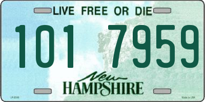 NH license plate 1017959