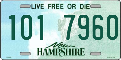 NH license plate 1017960