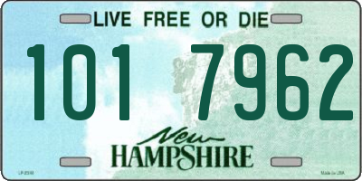 NH license plate 1017962