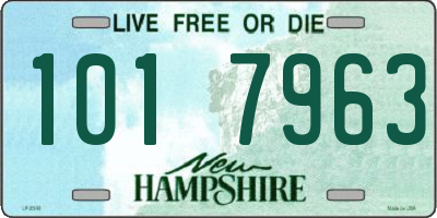 NH license plate 1017963